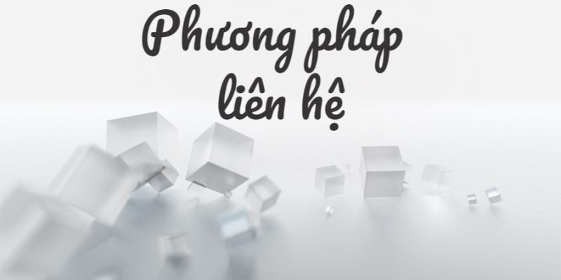 Liên hệ